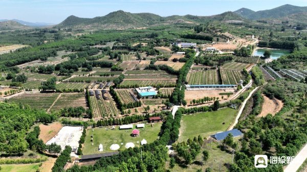 铁牛配资 以茶为媒 焕发文旅融合新活力