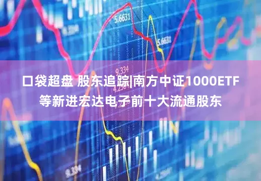 口袋超盘 股东追踪|南方中证1000ETF等新进宏达电子前十大流通股东