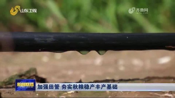 信富网 告别“大水漫灌” 桓台县智慧农业“精准喂饭”提高产量